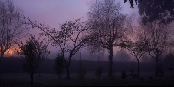 Morning Fog