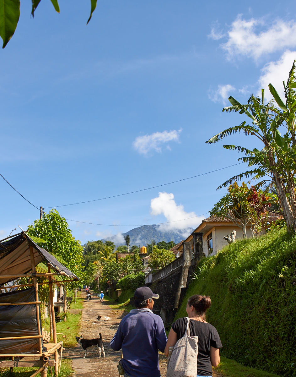Bali Jungle Hike