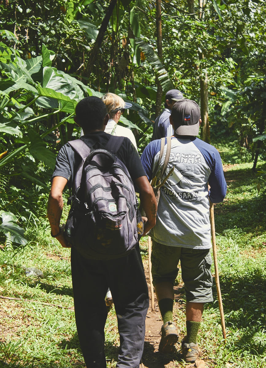 Bali Jungle Hike